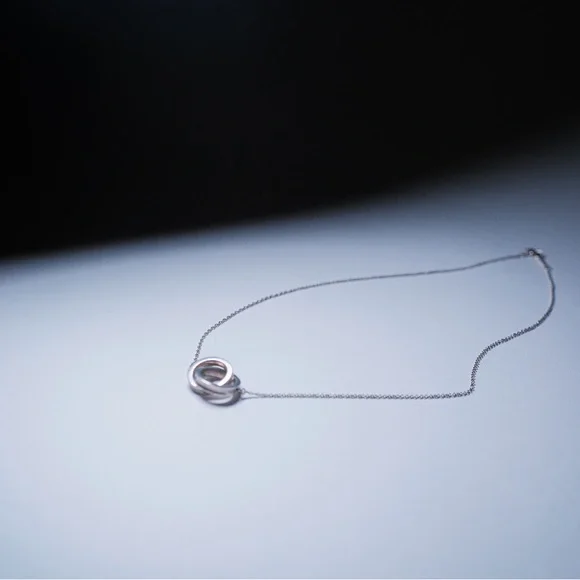 Tiffany Interlocking Rings Necklace - Picture 1 of 5